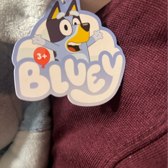 BLUEY Christmas Santa Plush - Picture 3 of 5